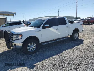 2013 Ford F-150 XL with VIN 1FTFW1EF6DFA35480, listed as a Copart auction lot 50307195 with 176,395 mi miles and Salvage Title. Bid and sale history available at carsss.com. Image 1.