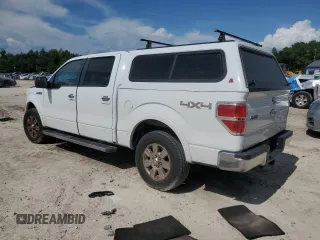 2011 Ford F-150 XL with VIN 1FTFW1EF4BKD81953, listed as a Copart auction lot 63464825 with 224,685 mi miles and Non repairable. Bid and sale history available at DreamBid. Image 2.