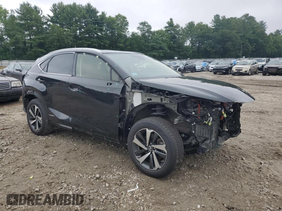 2021 Lexus NX 300h with VIN JTJGJRDZ8M2150521, listed as a Copart auction lot 62656295 with 62,746 mi miles and Salvage title. Bid and sale history available at DreamBid. Image 4.