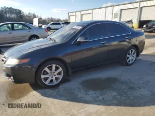 2004 Acura TSX with VIN JH4CL96894C036522, listed as a Copart auction lot 45960285 with 176,197 mi miles and Salvage Title. Bid and sale history available at carsss.com. Image 1.