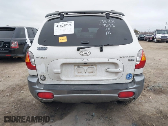 2003 Hyundai Santa Fe GLS with VIN KM8SC13E33U520344, listed as a IAAI auction lot 41528796 with 246,923 mi miles. Bid and sale history available at carsss.com. Image 16.