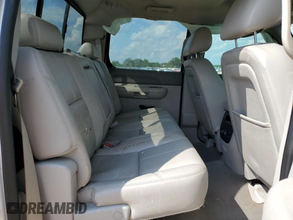 2013 Chevrolet Silverado 1500 LT with VIN 3GCPKSE72DG281861, listed as a Copart auction lot 55227385 with 253,170 mi miles and Salvage Title. Bid and sale history available at DreamBid. Image 10.