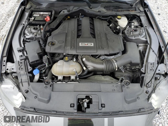 2021 Ford Mustang GT with VIN 1FA6P8CF5M5123683, listed as a Copart auction lot 50895515 with 83,245 mi miles and Salvage title. Bid and sale history available at DreamBid. Image 13.