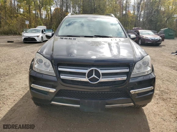 2010 Mercedes-Benz GL-Class GL 350 BlueTEC with VIN 4JGBF2FE4AA538469, listed as a Copart auction lot 75174524 with 257,044 mi miles and Clean Title. Bid and sale history available at carsss.com. Image 5.