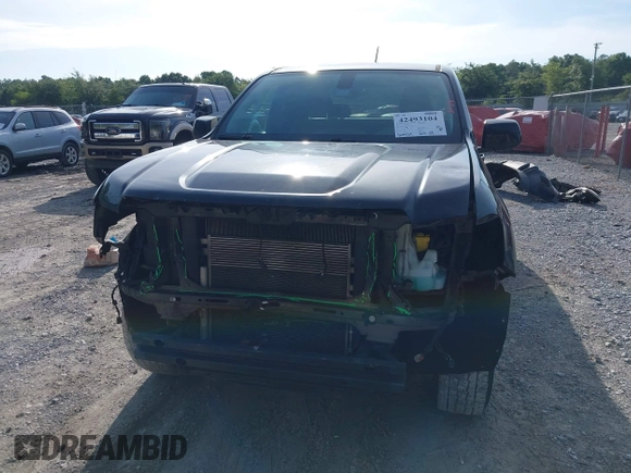 2018 GMC Canyon 2WD Elevation with VIN 1GTH5CEN0J1226982, listed as a IAAI auction lot 42493104 with 204,424 mi miles and . Bid and sale history available at DreamBid. Image 13.