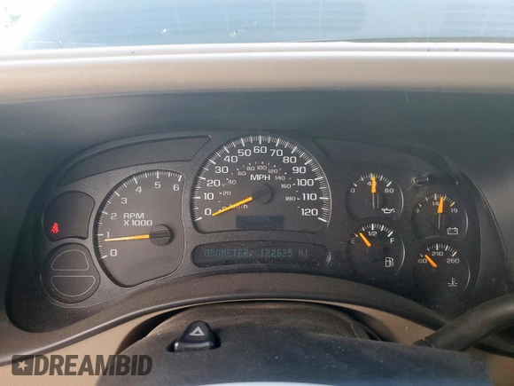 2005 Chevrolet Suburban LS with VIN 3GNEC16Z05G254195, listed as a Copart auction lot 59771655 with 122,825 mi miles and Clean title. Bid and sale history available at DreamBid. Image 9.
