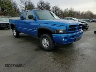 2001 Dodge 1500 with VIN 3B7HF13Y31G731107, listed as a Copart auction lot 43617755 with 143,333 mi miles and Salvage title. Bid and sale history available at DreamBid. Image 11.