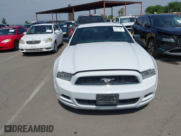 2014 Ford Mustang V6 with VIN 1ZVBP8AMXE5245688, listed as a IAAI auction lot 42074539 with 146,028 mi miles. Bid and sale history available at carsss.com. Image 12.