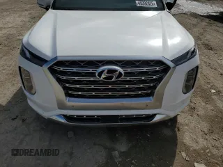 2020 Hyundai Palisade Limited with VIN KM8R5DHE7LU137851, listed as a Copart auction lot 49392825 with Not provided miles and Salvage title. Bid and sale history available at DreamBid. Image 14.