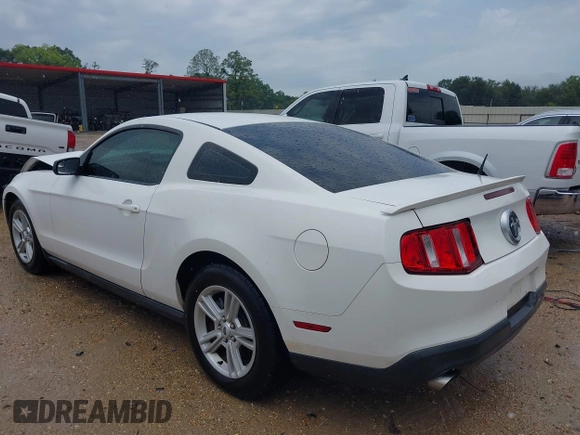 2012 Ford Mustang Premium with VIN 1ZVBP8AM3C5280537, listed as a IAAI auction lot 42171843 with 124,502 mi miles and . Bid and sale history available at carsss.com. Image 3.