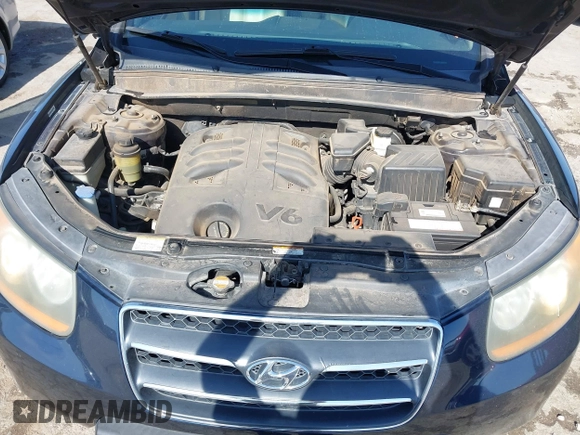 2009 Hyundai Santa Fe SE с VIN 5NMSH13E09H270406, выставлен на аукционе IAAI как лот 42012538 с пробегом 170 460 миль миль и . История ставок и продаж доступна на DreamBid. Изображение 10.