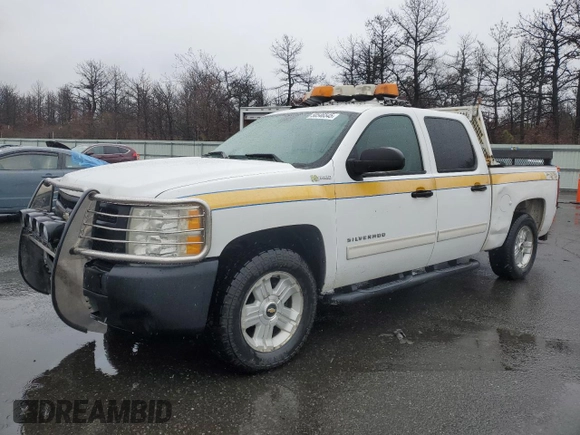 2010 Chevrolet Silverado 1500 1HY with VIN 3GCXKUEJ0AG216204, listed as a Copart auction lot 50546545 with 99,576 mi miles and Salvage Title. Bid and sale history available at DreamBid. Image 1.