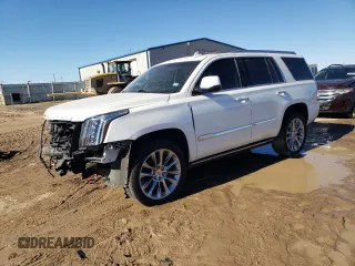 2017 Cadillac Escalade Premium Luxury with VIN 1GYS3CKJ0HR248385, listed as a Copart auction lot 88705915 with 119,576 mi miles and Salvage title. Bid and sale history available at DreamBid. Image 1.