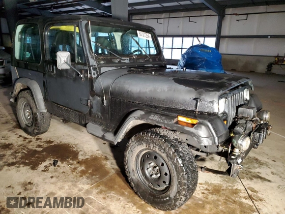 1994 Jeep Wrangler S with VIN 1J4FY19P9RP465044, listed as a Copart auction lot 84121254 with 174,801 mi miles and Clean Title. Bid and sale history available at carsss.com. Image 4.