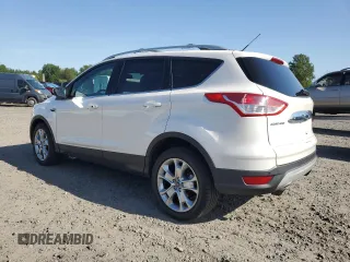 2014 Ford Escape Titanium with VIN 1FMCU9JX5EUB98765, listed as a Copart auction lot 55294785 with 119,475 mi miles and Salvage Title. Bid and sale history available at carsss.com. Image 2.