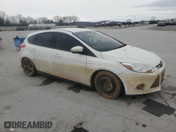 2014 Ford Focus SE with VIN 1FADP3K22EL127373, listed as a Copart auction lot 46043725 with Not Provided miles and Salvage Title. Bid and sale history available at DreamBid. Image 4.