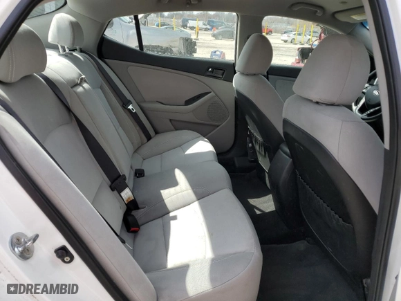 2013 Kia Optima LX with VIN KNAGM4A78D5310635, listed as a Copart auction lot 48231165 with 194,049 mi miles and Salvage Title. Bid and sale history available at carsss.com. Image 10.