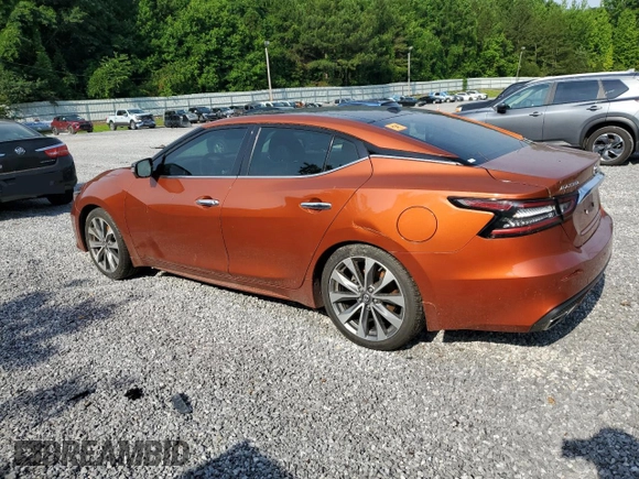 2020 Nissan Maxima Platinum with VIN 1N4AA6FV7LC365422, listed as a Copart auction lot 54913205 with 81,000 mi miles and Salvage title. Bid and sale history available at DreamBid. Image 2.
