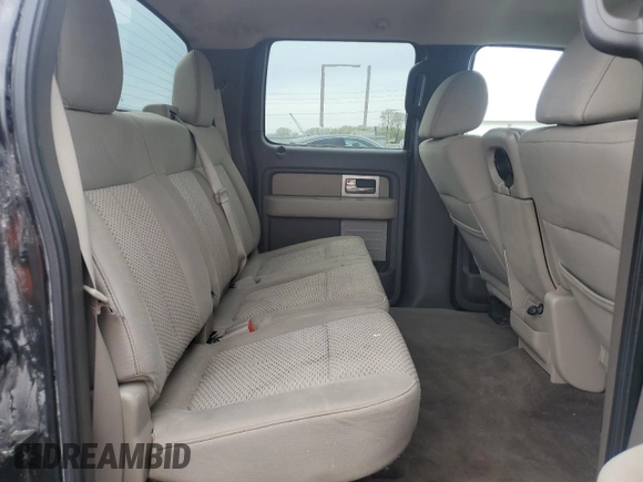 2010 Ford F-150 XL with VIN 1FTFW1EV1AKB33018, listed as a Copart auction lot 54377785 with 160,695 mi miles and Salvage title. Bid and sale history available at DreamBid. Image 10.