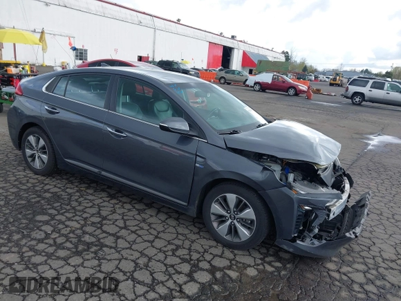 2018 Hyundai Ioniq Limited z VIN KMHC75LD8JU104018, wystawiony jako IAAI lot #41939842 z przebiegiem 78 983 mil mil oraz . Historia ofert i sprzedaży dostępna na DreamBid. Obrazek 1.