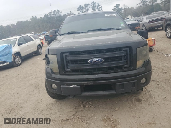 2013 Ford F-150 XL with VIN 1FTFW1ET4DKF46019, listed as a Copart auction lot 48988855 with 170,141 mi miles and Salvage Title. Bid and sale history available at carsss.com. Image 5.