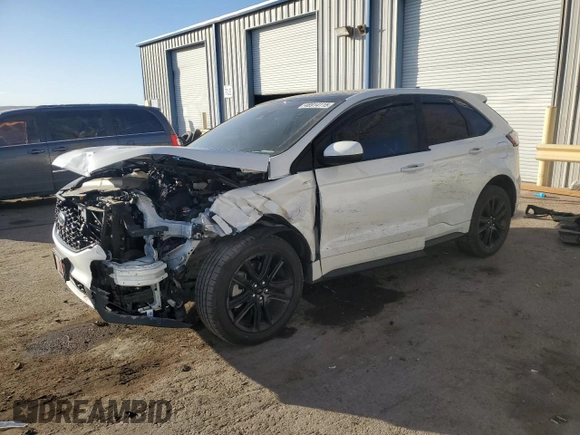 2024 Ford Edge SEL with VIN 2FMPK4J94RBA06405, listed as a Copart auction lot 46914115 with 0 mi miles and Salvage Title. Bid and sale history available at carsss.com. Image 1.