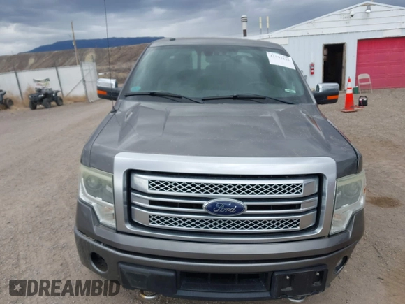 2014 Ford F-150 XL with VIN 1FTFW1ET0EFA49589, listed as a IAAI auction lot 41792225 with Not provided miles and . Bid and sale history available at DreamBid. Image 12.