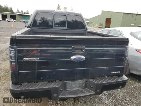2011 Ford F-150 XL with VIN 1FTFW1EF1BFC50696, listed as a Copart auction lot 50950275 with 131,517 mi miles and Clean Title. Bid and sale history available at carsss.com. Image 6.