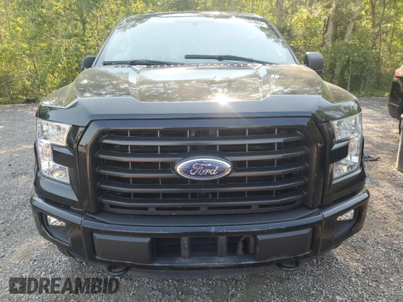 2016 Ford F-150 XLT with VIN 1FTEW1EP4GFD27637, listed as a Copart auction lot 63101465 with 251,049 mi miles and Clean title. Bid and sale history available at DreamBid. Image 5.