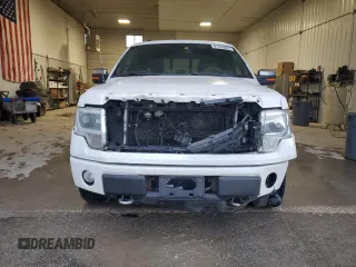 2013 Ford F-150 XL with VIN 1FTFW1EF0DFC12301, listed as a Copart auction lot 61483485 with 297,038 mi miles and Clean title. Bid and sale history available at DreamBid. Image 5.