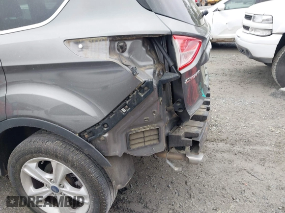 2014 Ford Escape SE with VIN 1FMCU0GX4EUB37846, listed as a IAAI auction lot 41913346 with 131,982 mi miles. Bid and sale history available at carsss.com. Image 6.