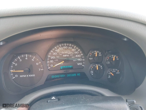 2002 Chevrolet TrailBlazer LS with VIN 1GNDT13S722423460, listed as a IAAI auction lot 41401201 with 203,385 mi miles. Bid and sale history available at carsss.com. Image 7.