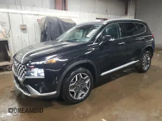 2022 Hyundai Santa Fe Limited with VIN 5NMS4DAL8NH386932, listed as a Copart auction lot 47879365 with 39,766 mi miles and Salvage Title. Bid and sale history available at carsss.com. Image 1.