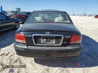 2005 Hyundai Sonata GL with VIN KMHWF25S45A194169, listed as a Copart auction lot 41819725 with 125,614 mi miles and Clean Title. Bid and sale history available at carsss.com. Image 6.