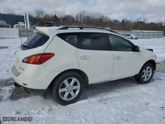 2010 Nissan Murano LE with VIN JN8AZ1MW8AW134658, listed as a Copart auction lot 45896465 with 137,943 mi miles and Salvage Title. Bid and sale history available at carsss.com. Image 3.