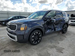 2025 Kia Telluride SX X-Line with VIN 5XYP5DGCXSG610153, listed as a Copart auction lot 44742975 with 291 mi miles and Non repairable. Bid and sale history available at DreamBid. Image 1.