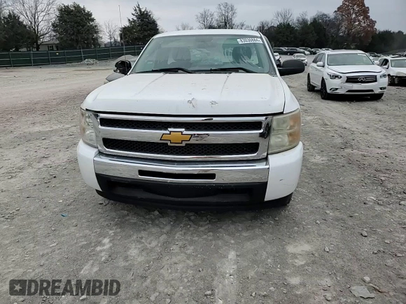 2010 Chevrolet Silverado 1500 Work Truck with VIN 1GCPCPEXXAZ171727, listed as a Copart auction lot 83030884 with 179,186 mi miles and Clean Title. Bid and sale history available at DreamBid. Image 11.