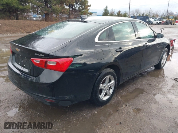 2019 Chevrolet Malibu LS with VIN 1G1ZB5ST7KF131084, listed as a IAAI auction lot 41726724 with 125,388 mi miles and . Bid and sale history available at DreamBid. Image 4.