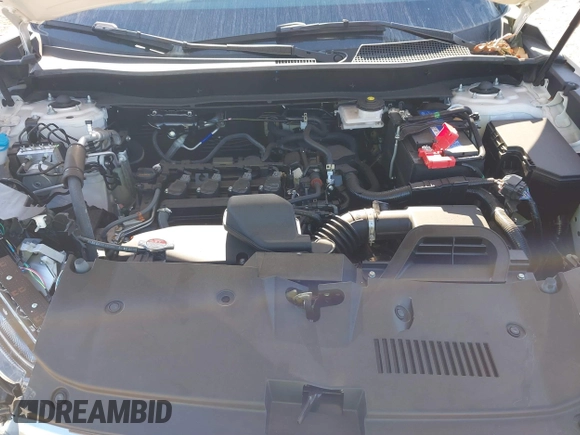 2025 Honda CR-V LX with VIN 5J6RS3H24SL003407, listed as a IAAI auction lot 41540878 with 3,831 mi miles and . Bid and sale history available at DreamBid. Image 10.