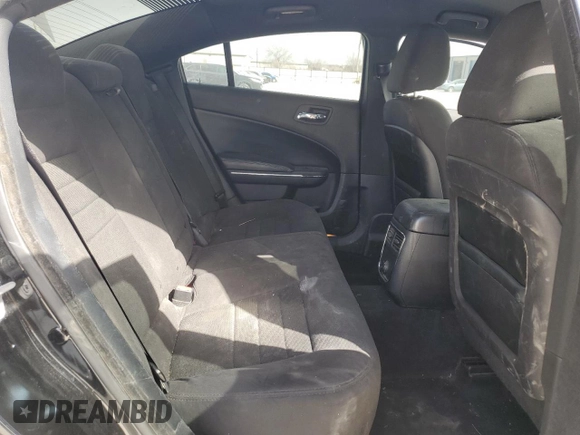 2014 Dodge Charger SE with VIN 2C3CDXBG7EH314658, listed as a Copart auction lot 48160235 with 161,599 mi miles and Salvage Title. Bid and sale history available at carsss.com. Image 10.