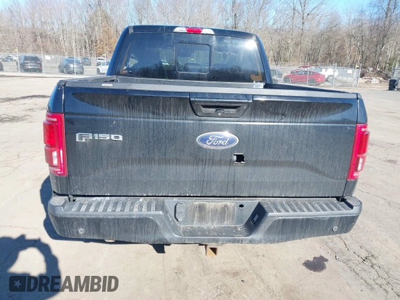 2016 Ford F-150 XLT with VIN 1FTEW1EG8GFD07598, listed as a IAAI auction lot 41704800 with 200,983 mi miles. Bid and sale history available at carsss.com. Image 18.