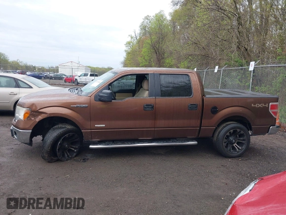 2012 Ford F-150 XL with VIN 1FTFW1ET4CFA81992, listed as a IAAI auction lot 42026460 with 246,539 mi miles and . Bid and sale history available at DreamBid. Image 14.