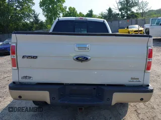 2010 Ford F-150 XL with VIN 1FTFW1EV8AFD48274, listed as a IAAI auction lot 42487429 with 249,774 mi miles and . Bid and sale history available at DreamBid. Image 16.