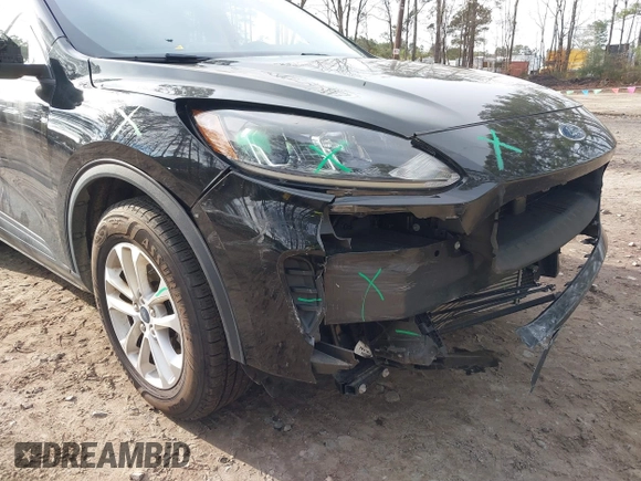 2020 Ford Escape SE с VIN 1FMCU0G61LUA91641, выставлен на аукционе IAAI как лот 41235361 с пробегом 67 017 миль миль и . История ставок и продаж доступна на DreamBid. Изображение 6.