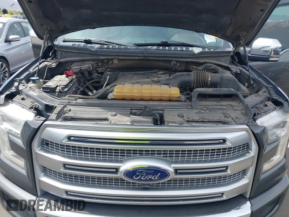 2016 Ford F-150 XLT with VIN 1FTEW1EG1GFA83672, listed as a IAAI auction lot 42246852 with 209,933 mi miles and . Bid and sale history available at DreamBid. Image 10.