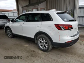 2014 Mazda CX-9 Sport with VIN JM3TB3BV5E0427867, listed as a Copart auction lot 51091995 with 122,008 mi miles and Salvage title. Bid and sale history available at DreamBid. Image 2.