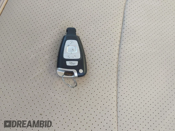 2008 Hyundai Veracruz GLS with VIN KM8NU13C68U029864, listed as a IAAI auction lot 42595094 with 219,131 mi miles and . Bid and sale history available at DreamBid. Image 11.