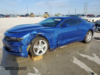 2019 Chevrolet Camaro 1LT with VIN 1G1FB1RS9K0136654, listed as a Copart auction lot 48824565 with 117,204 mi miles and Salvage Title. Bid and sale history available at carsss.com. Image 1.