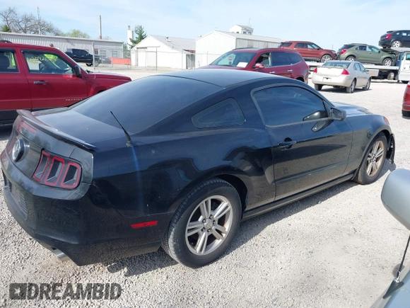 2013 Ford Mustang V6 with VIN 1ZVBP8AM7D5203672, listed as a IAAI auction lot 42104121 with 215,815 mi miles. Bid and sale history available at carsss.com. Image 14.
