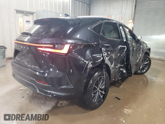 2022 Lexus NX with VIN 2T2ADCAZ4NC002205, listed as a Copart auction lot 44891975 with 19,509 mi miles and Salvage Title. Bid and sale history available at carsss.com. Image 3.